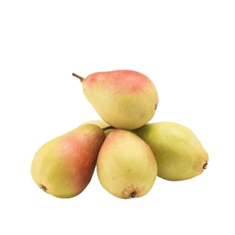 Armut Santa Maria Kg