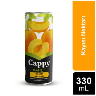 Cappy Bahçe Kayısı Nektarı Kutu 330 ML 